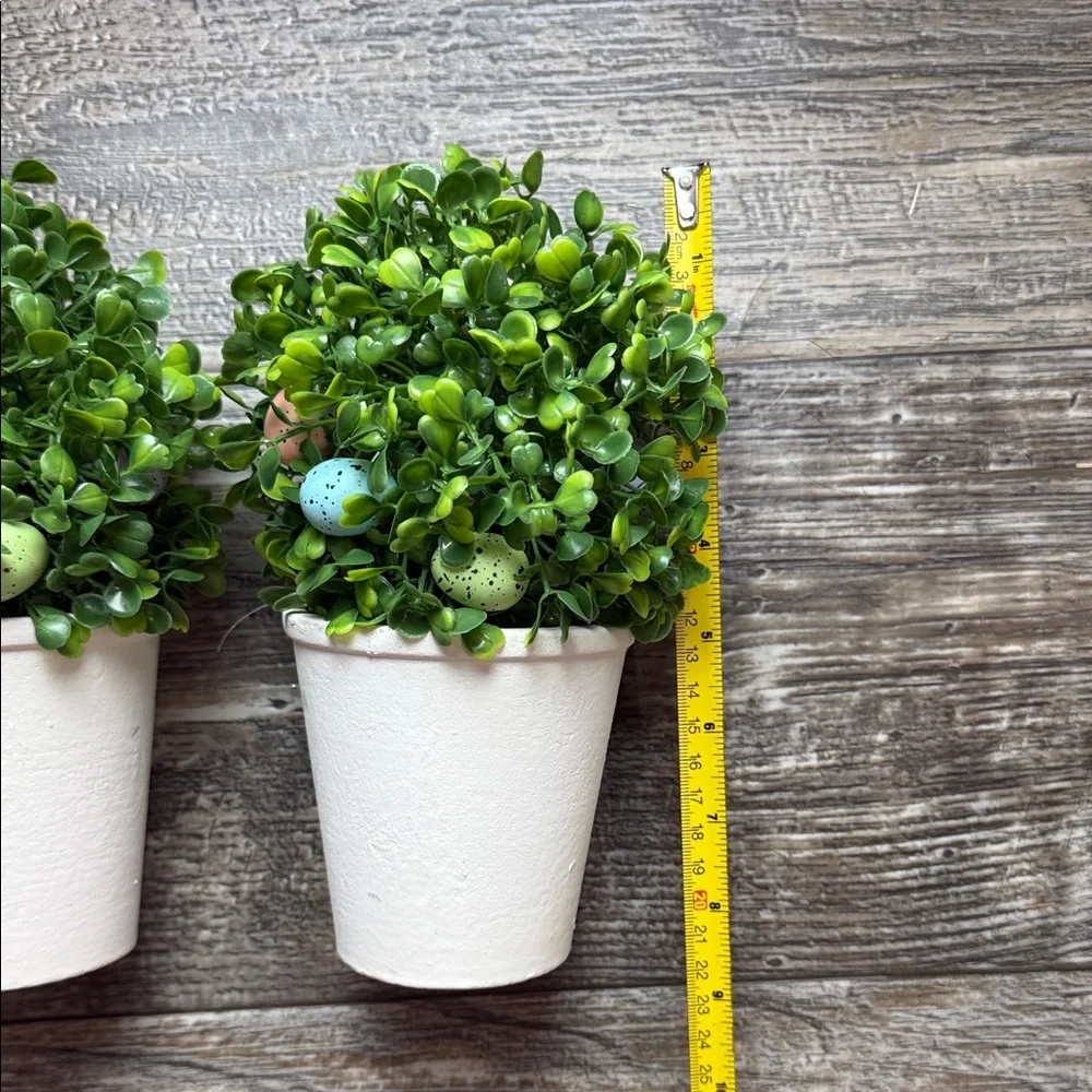 Green Topiary Plants trees Bundle 4 in White Eggs